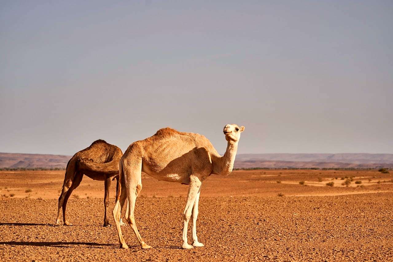 Morocco