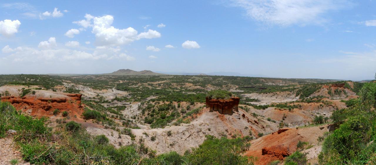 History - Tanzania