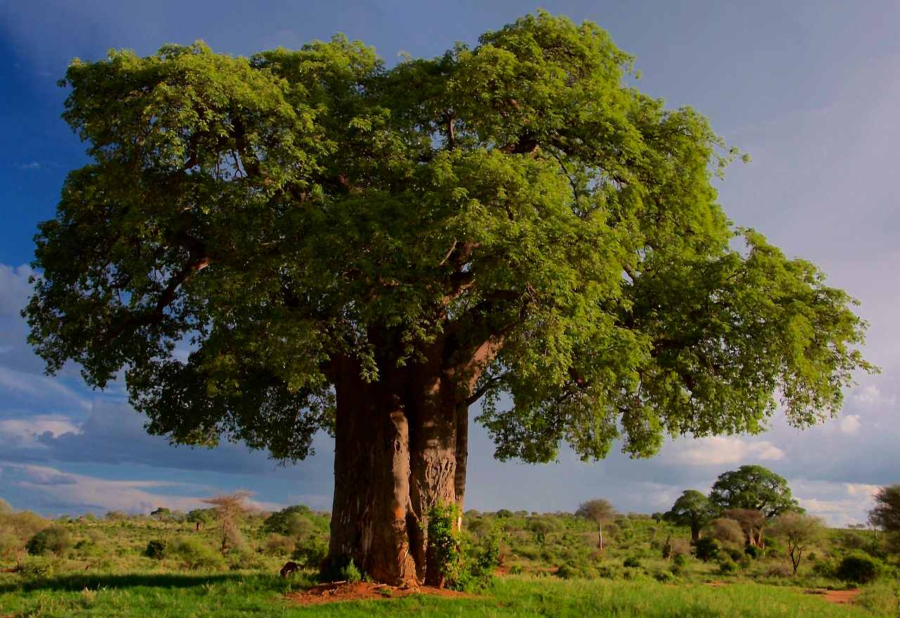 Tanzania