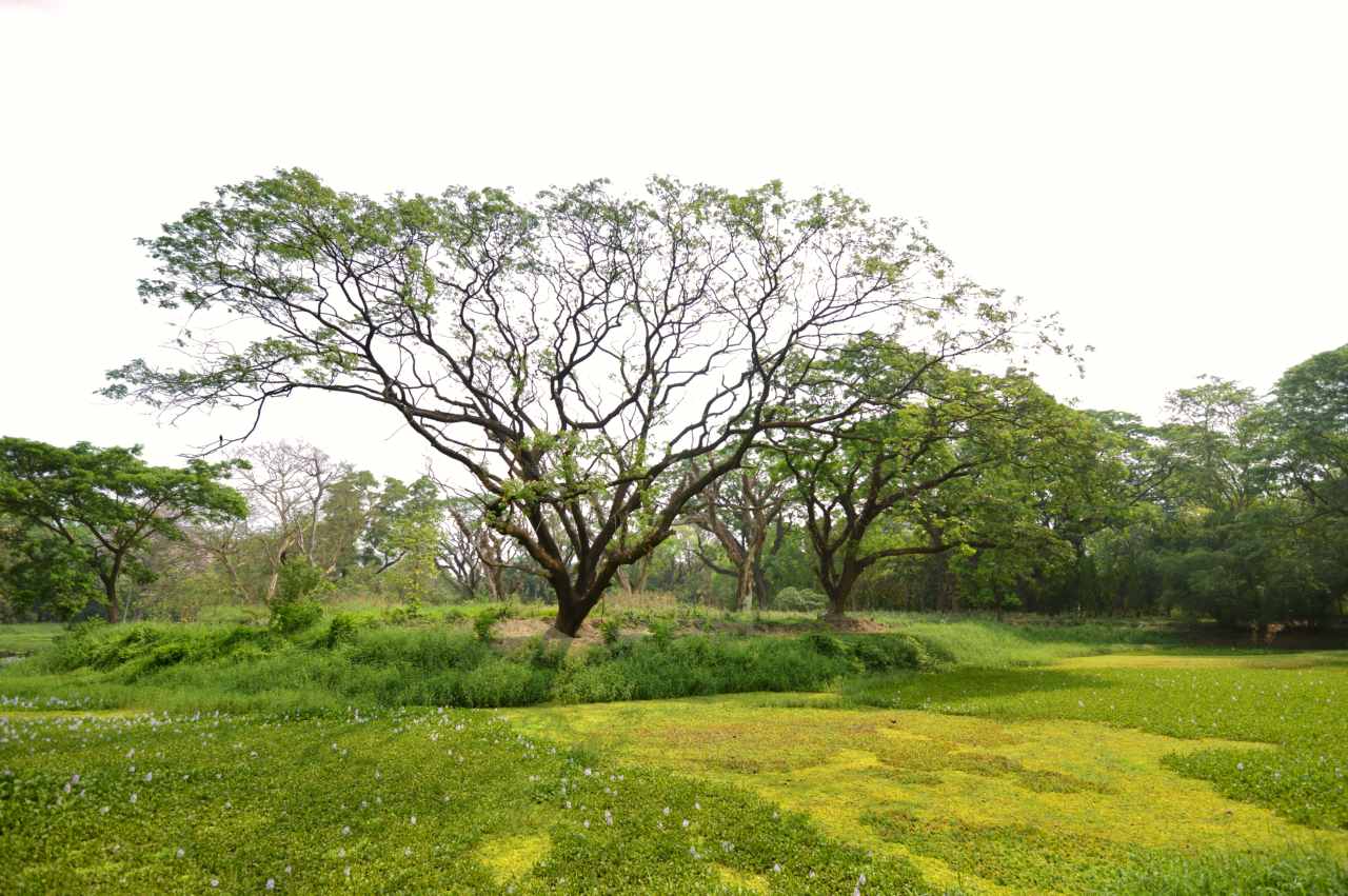 Howrah