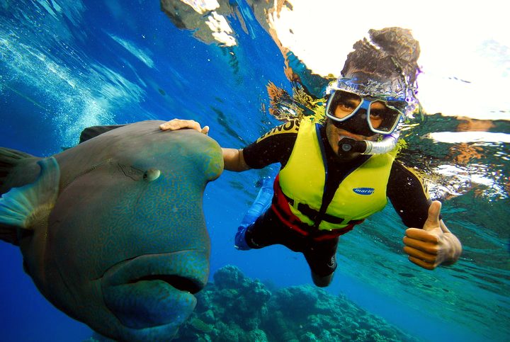 Dive into the wonders of the Great Barrier Reef