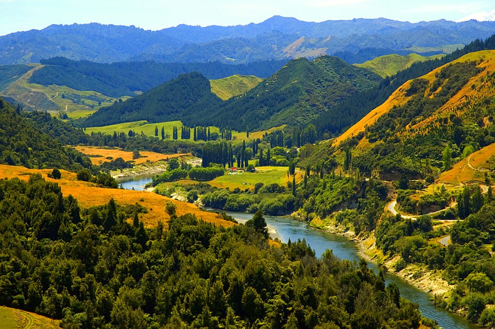 Explore the Whanganui River's beauty