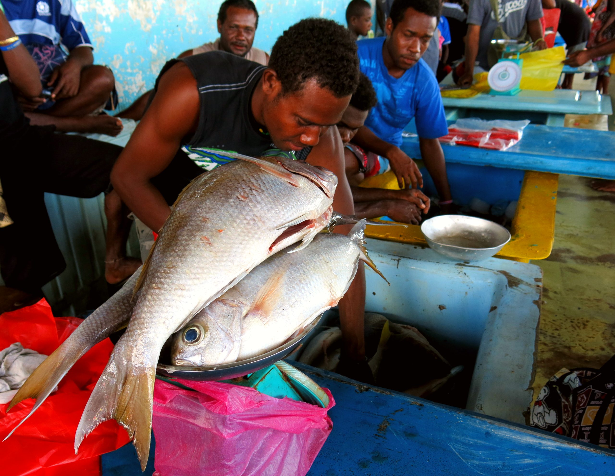 Fresh catches at Honiara's vibrant market