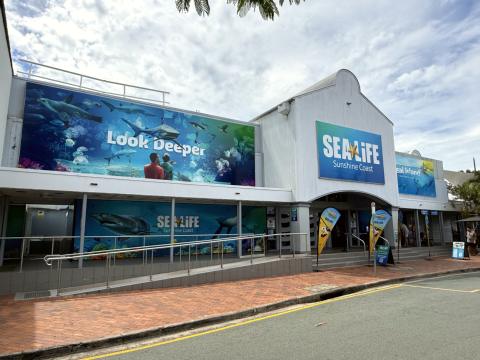 Sea Life Sunshine Coast