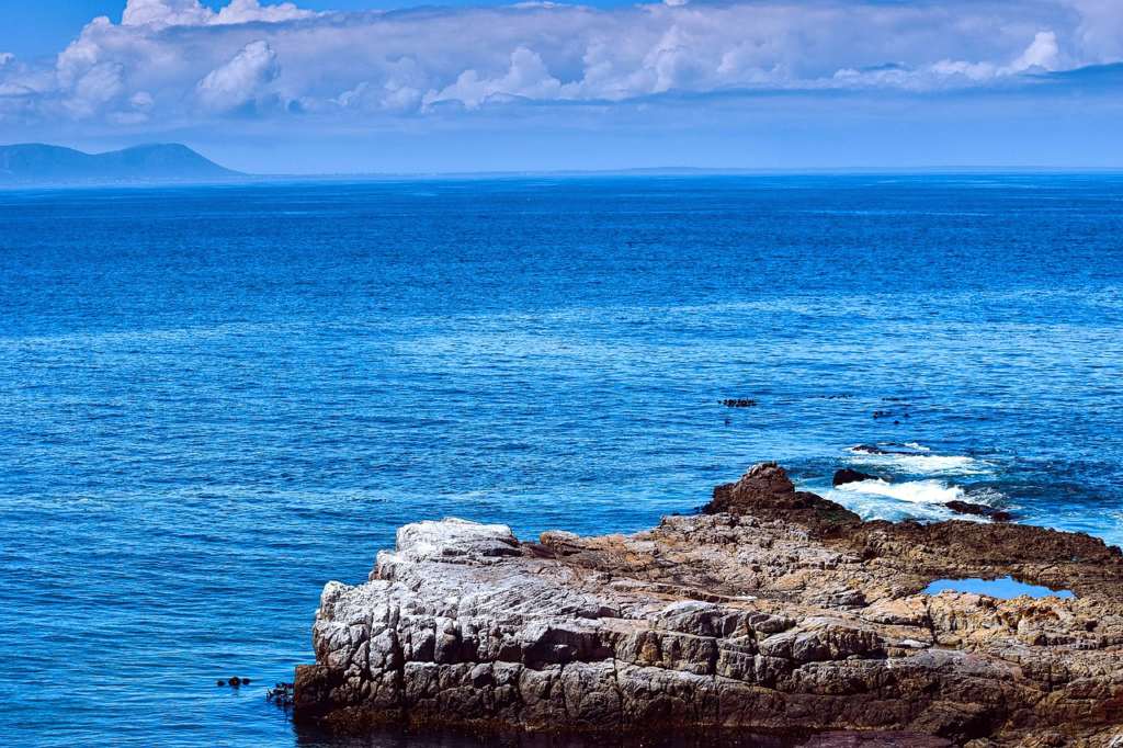 Hermanus