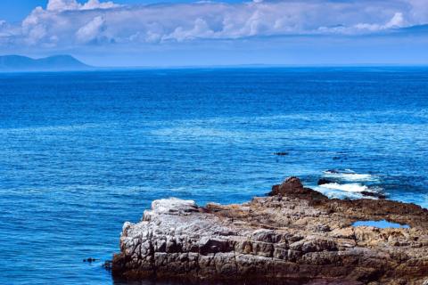 Hermanus