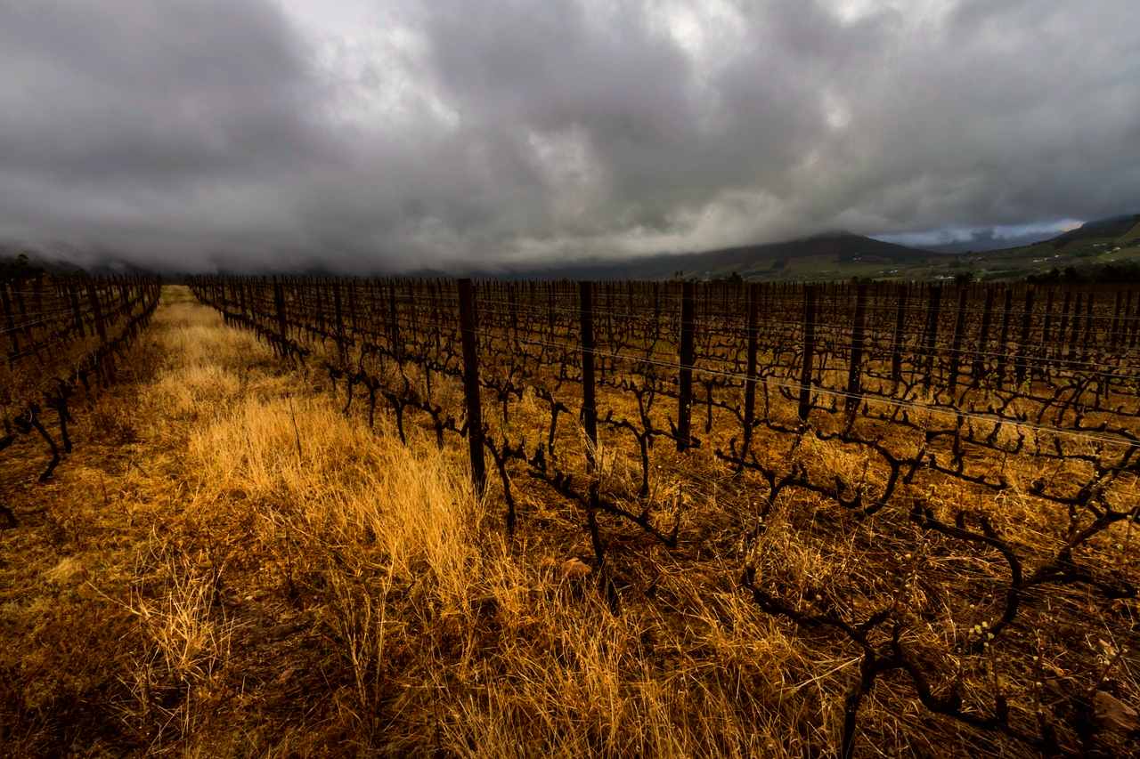 Franschhoek