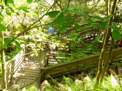 Devil's Millhopper Geological State Park