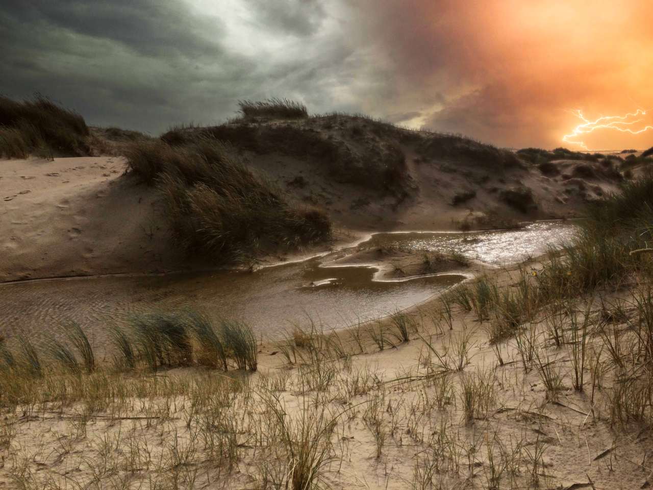 De Hors at Dunes of Texel National Park