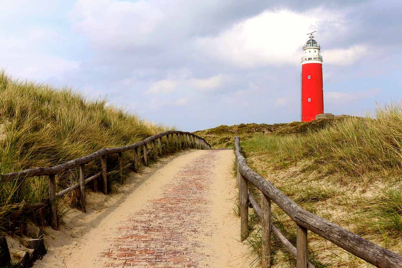 Texel
