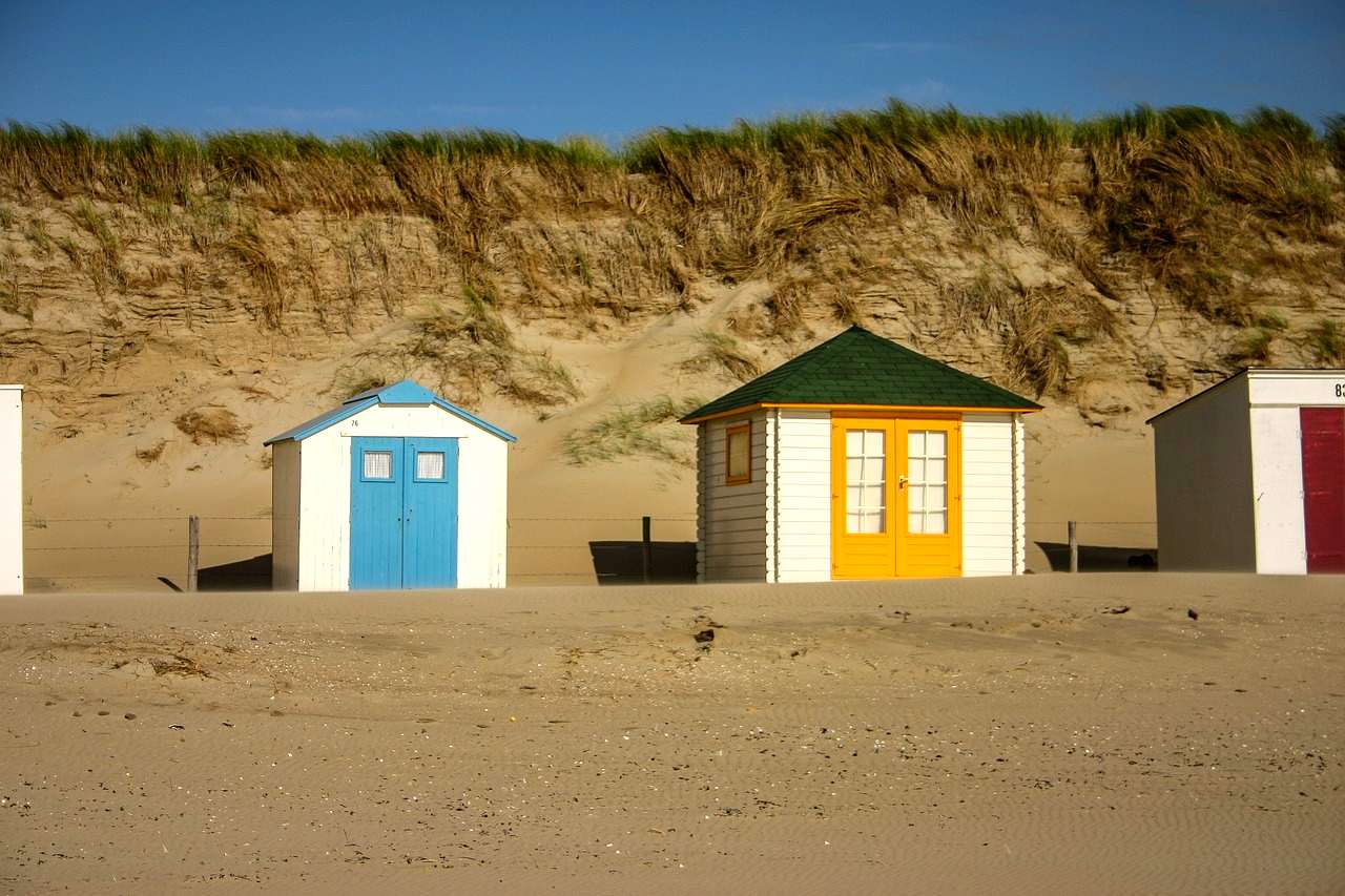 Texel