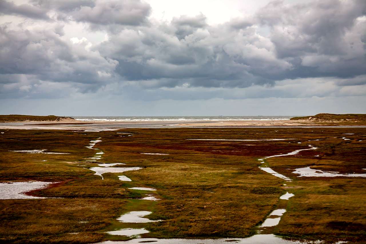 Texel