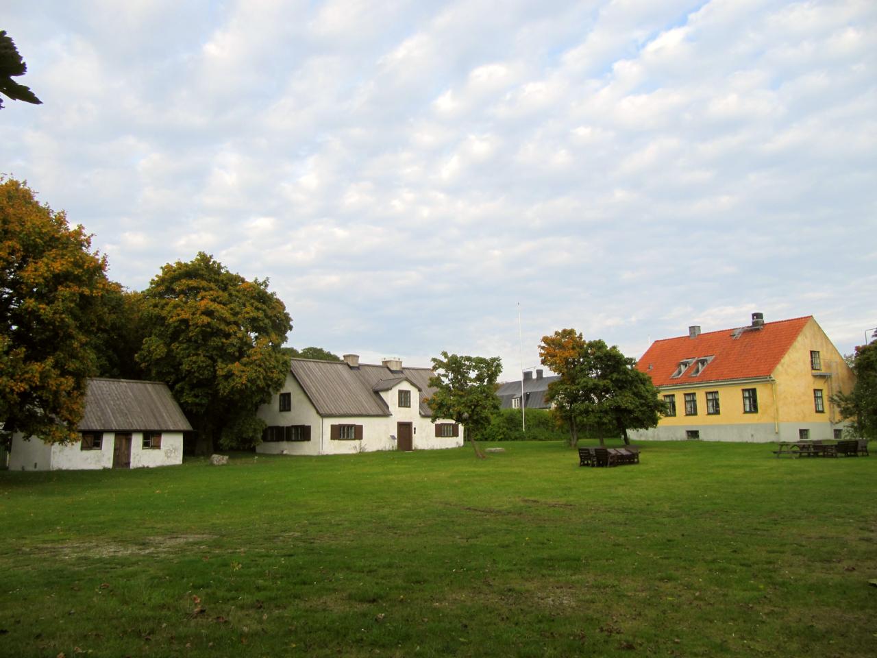Ljugarn