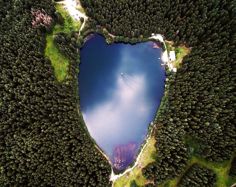 Artvin