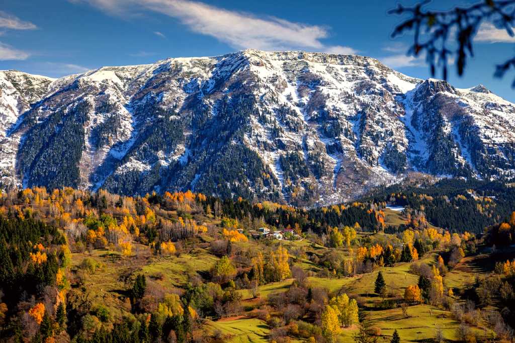 Artvin