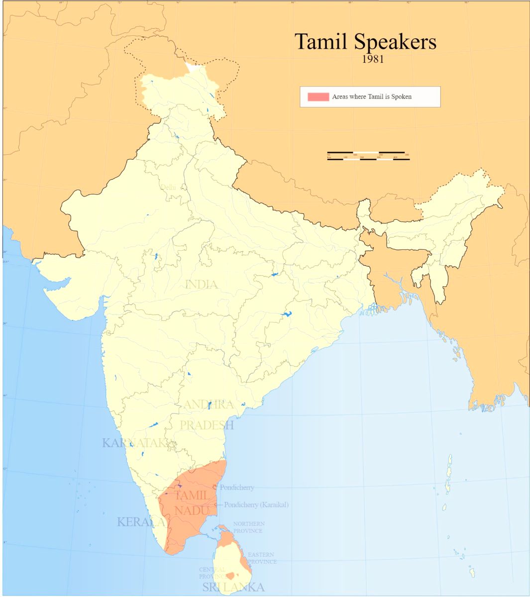 Local food and drinks - Chennai