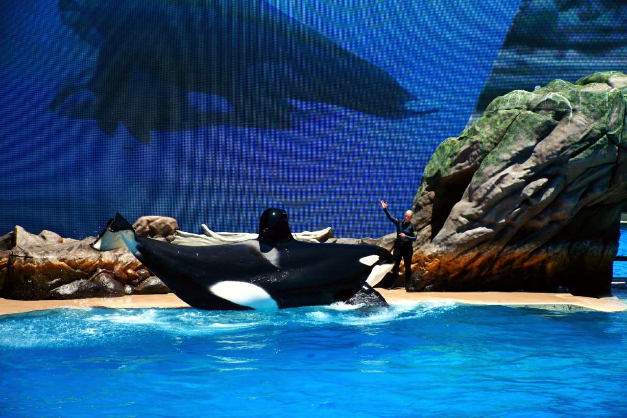 SeaWorld San Diego