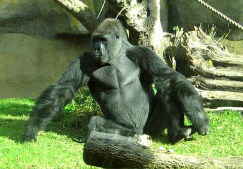Santa Barbara Zoo