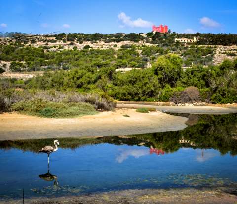 Ghadira Nature Reserve