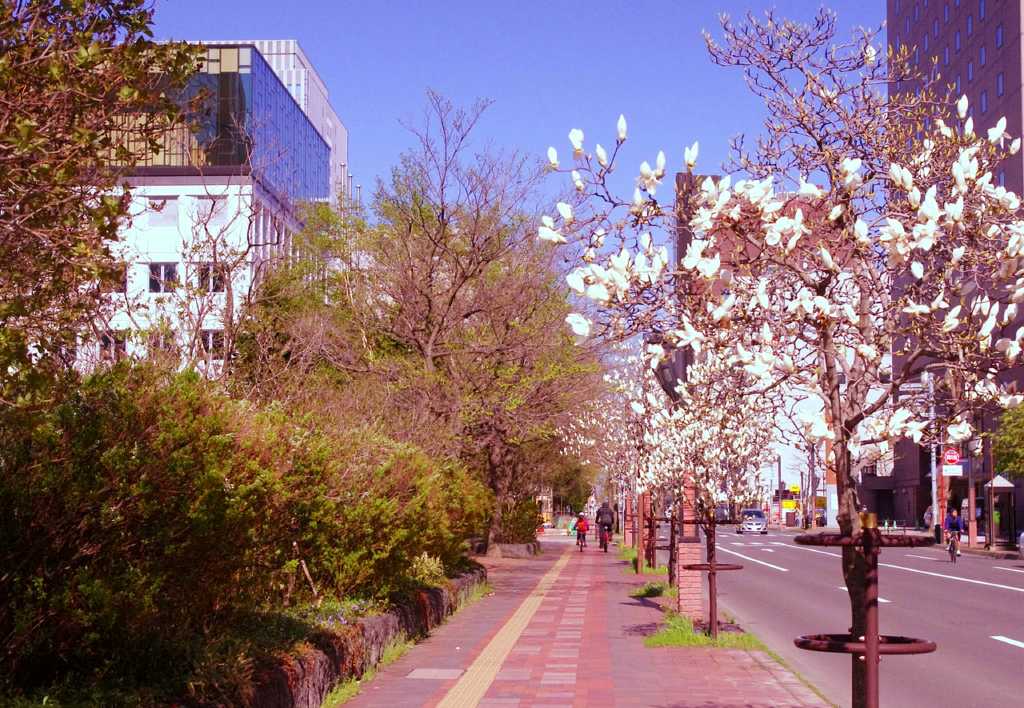 Sapporo