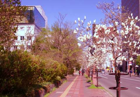 Sapporo