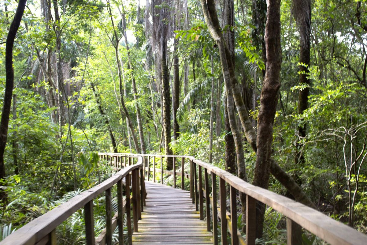 Lekki Conservation Centre