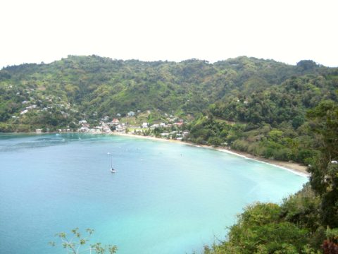 Reserva Forestal de Main Ridge de Tobago