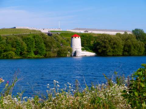 Fort Henry