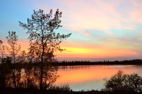 FortWhyte Alive