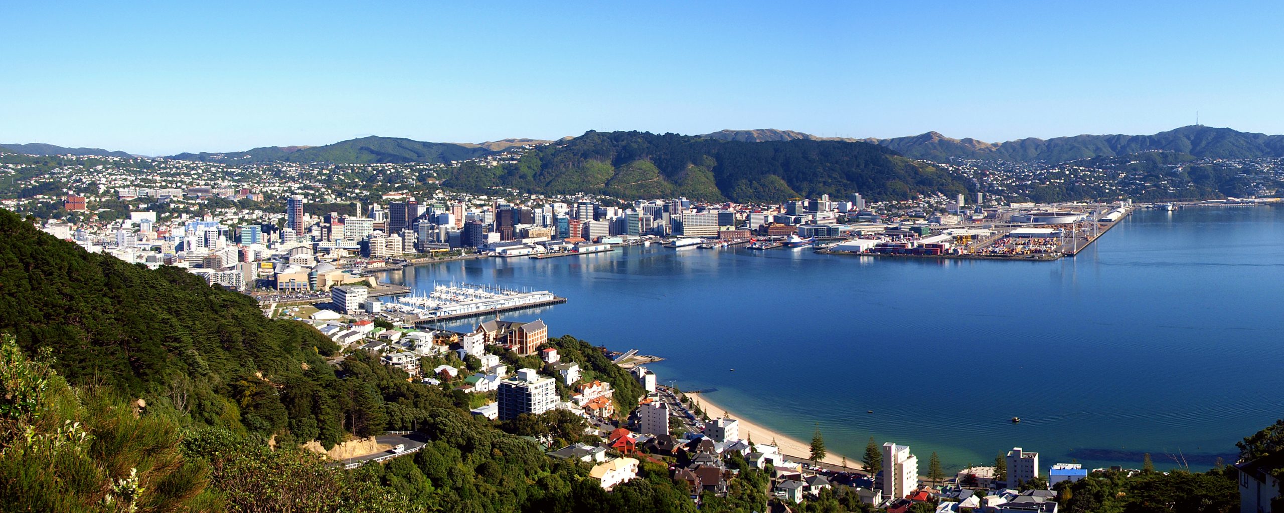 A view of the city and its harbor