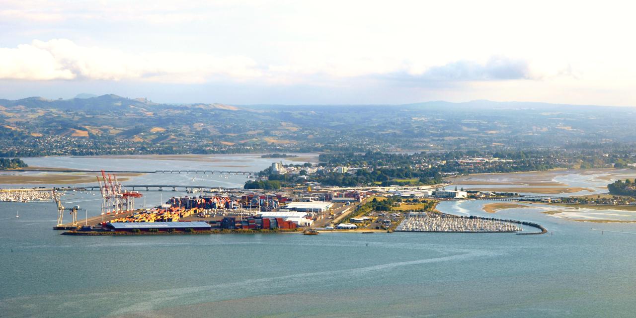History - Tauranga