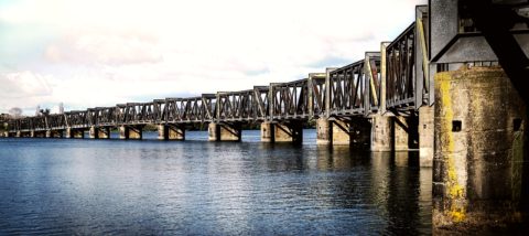Tauranga