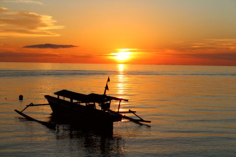 Sulawesi