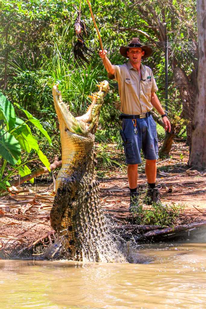 Billabong Sanctuary