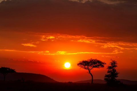 Serengeti