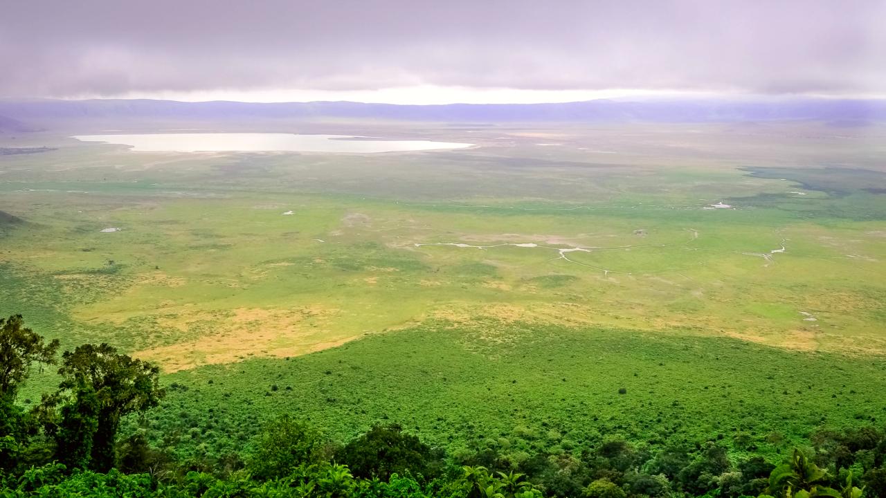 History - Ngorongoro