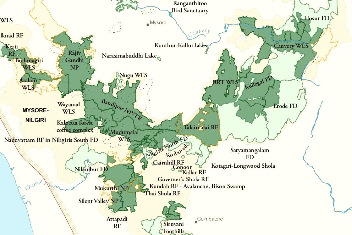 Wayanad Wildlife Sanctuary