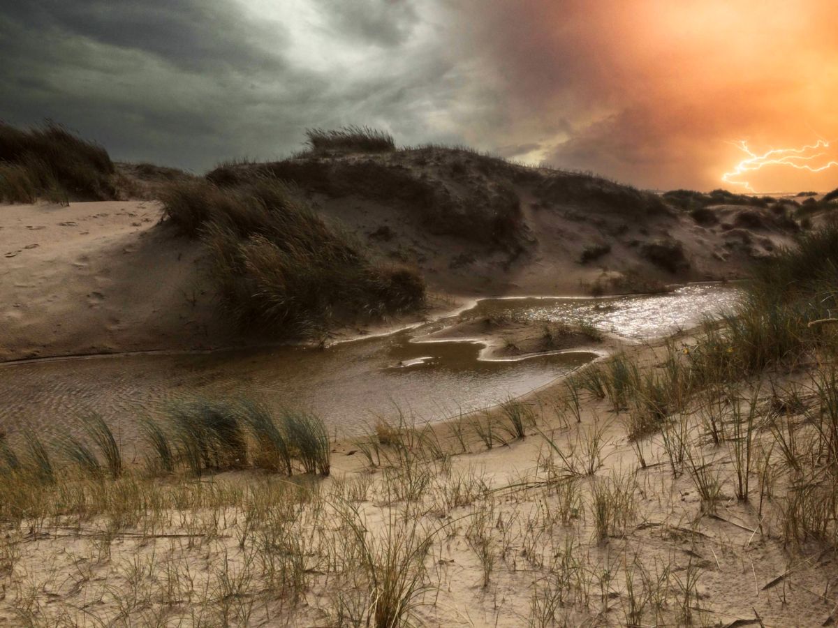 Dunes of Texel National Park