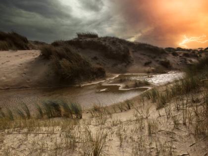Dunas del Parque Nacional de Texel