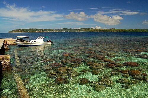 Coral reef in Gizo near the airfield