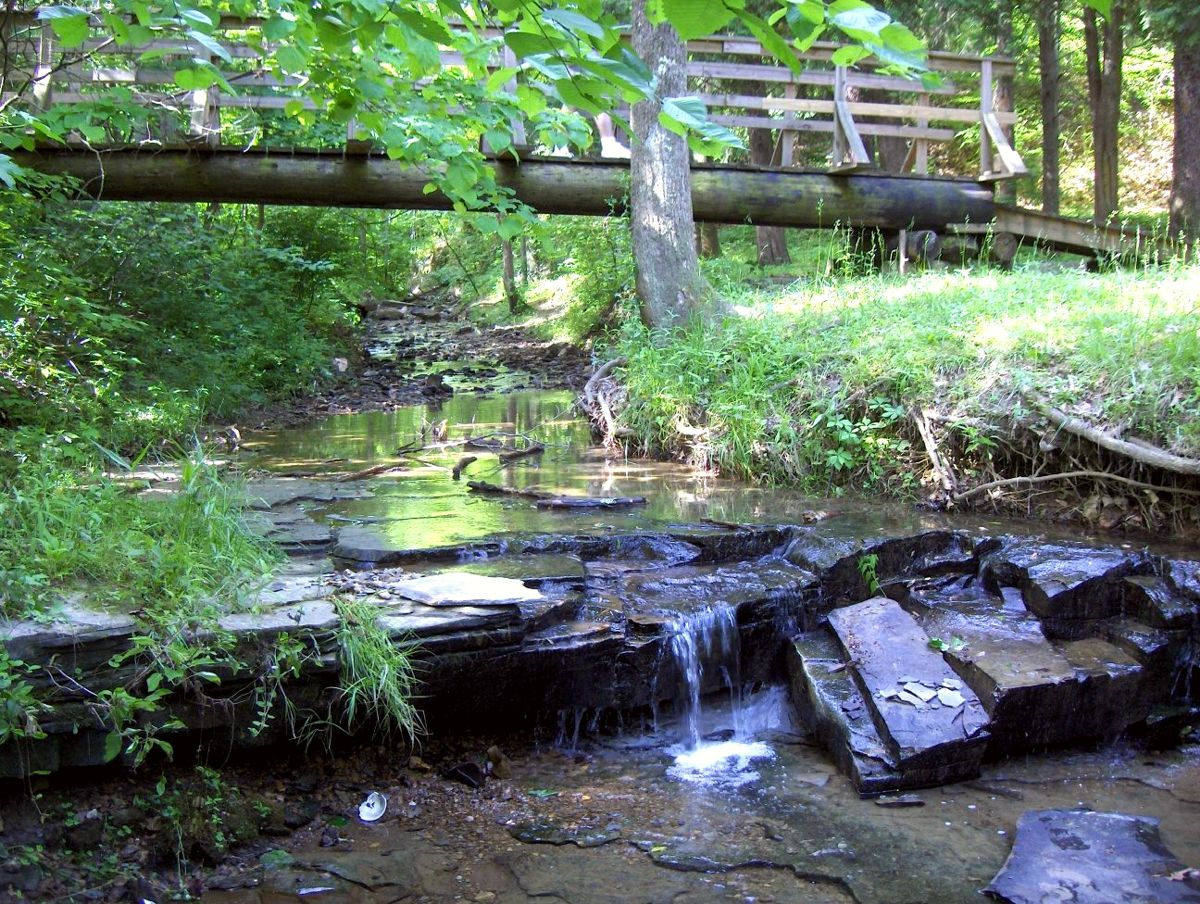 Nature Reserves