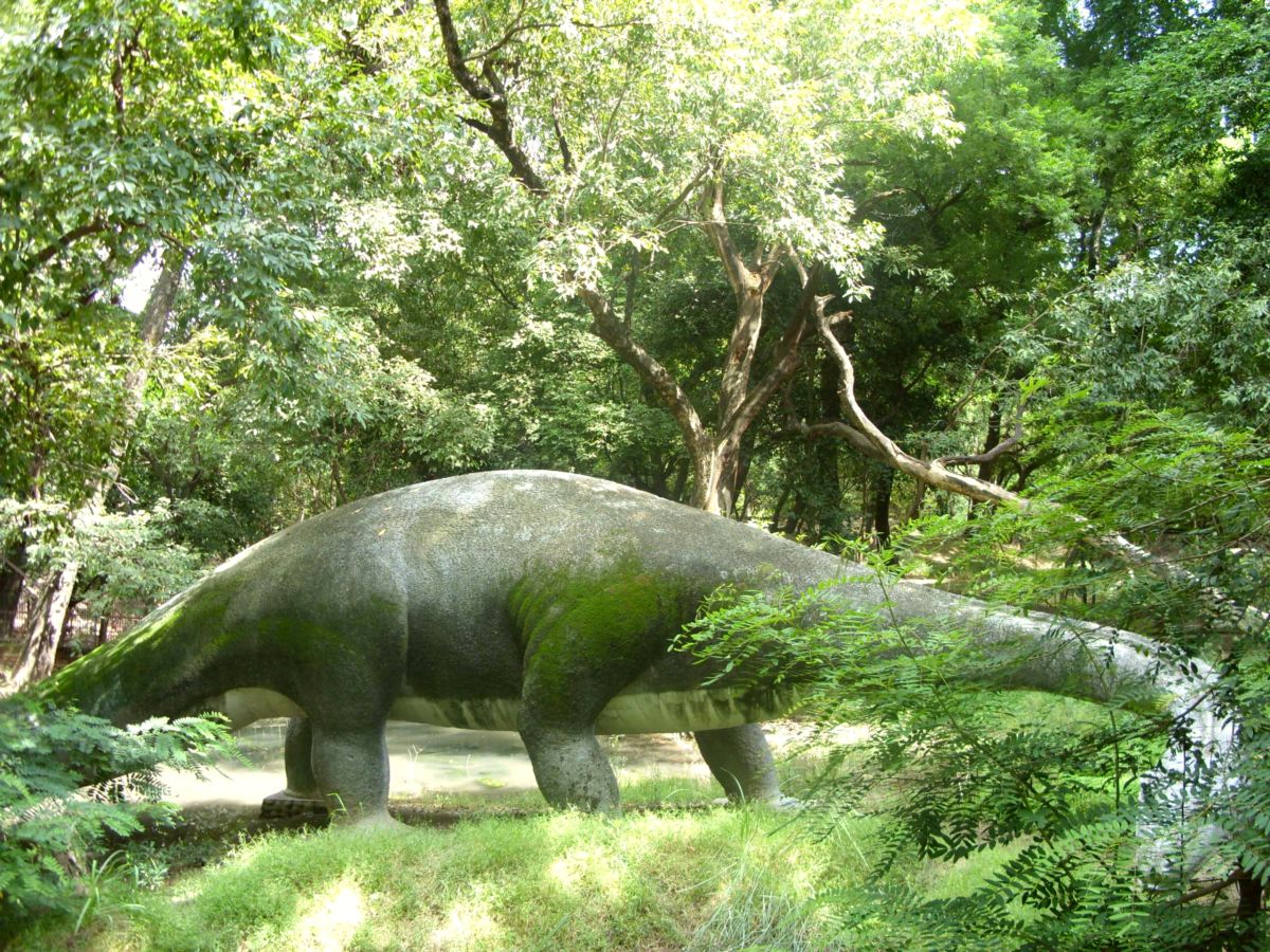 Kanpur Zoo