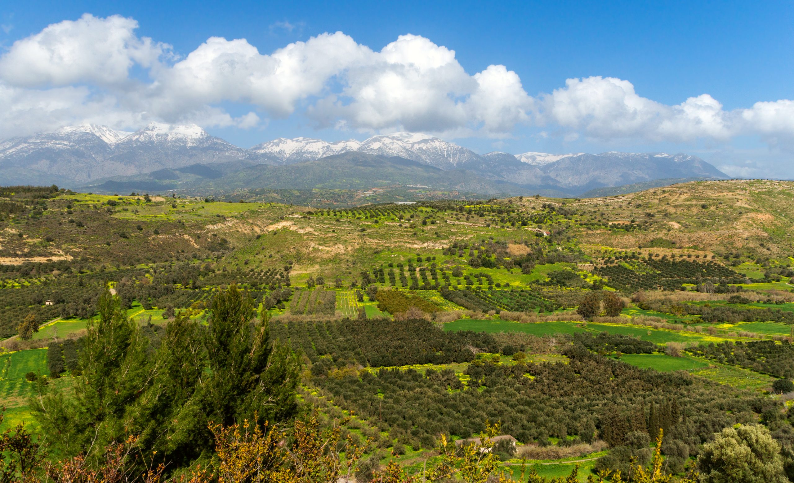 Explore the rugged beauty of Mount Ida