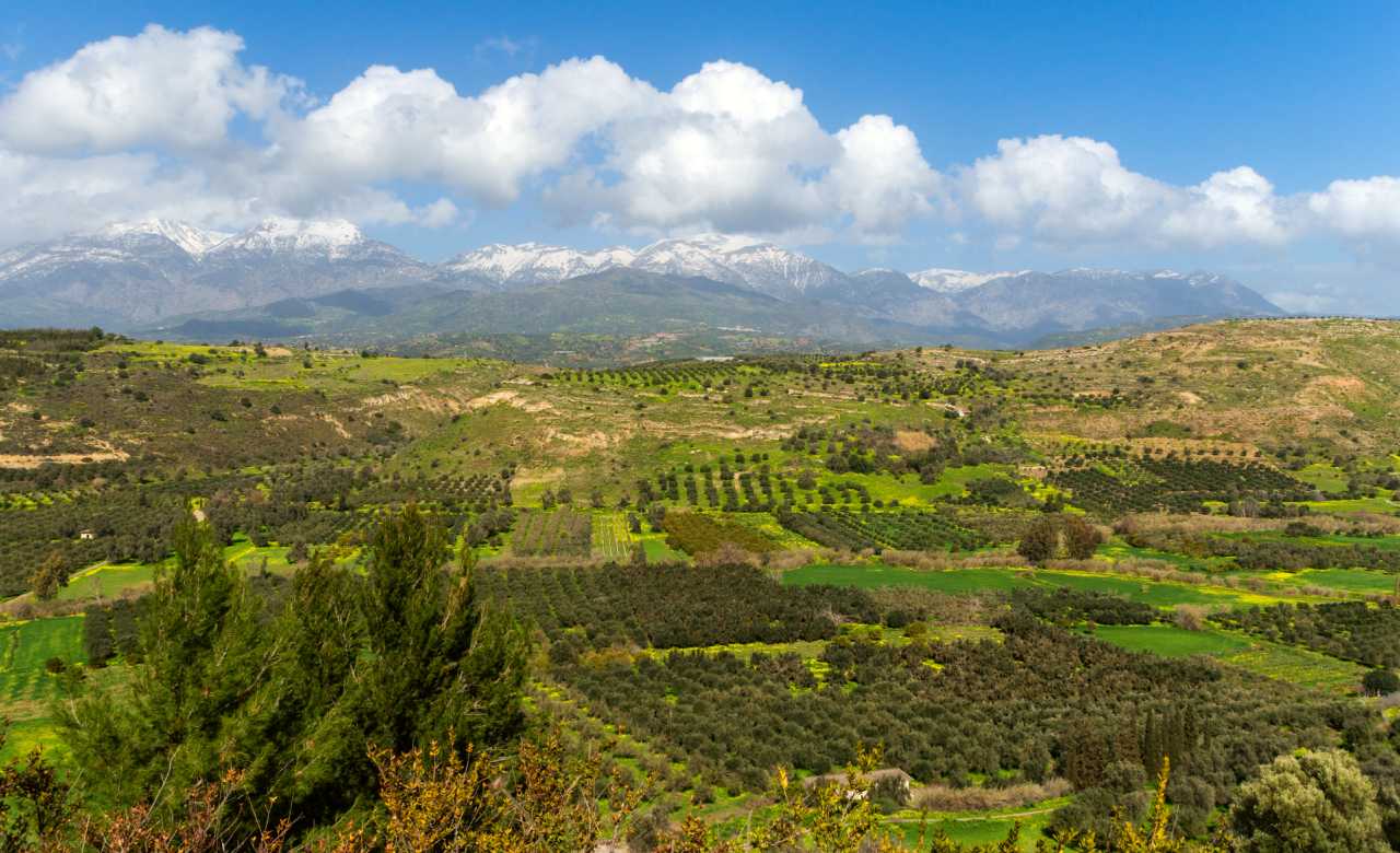 Messara Plain