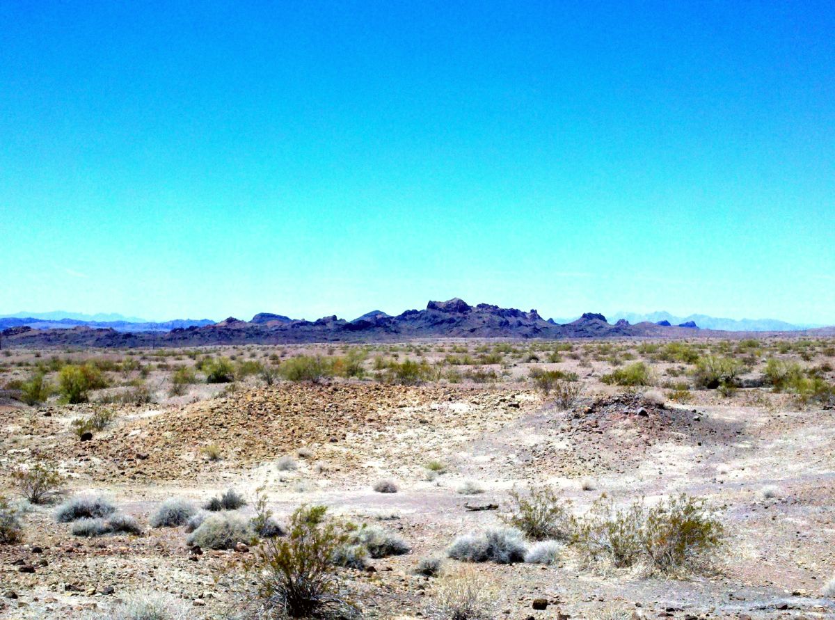 Lake Havasu State Park