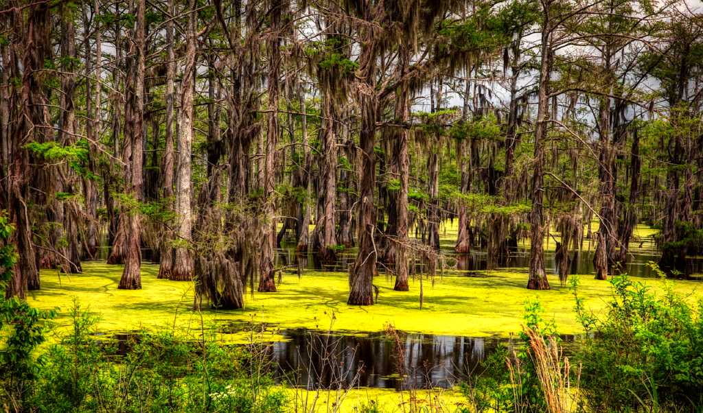 Mississippi
