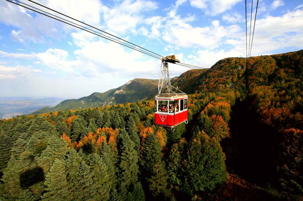 Bursa