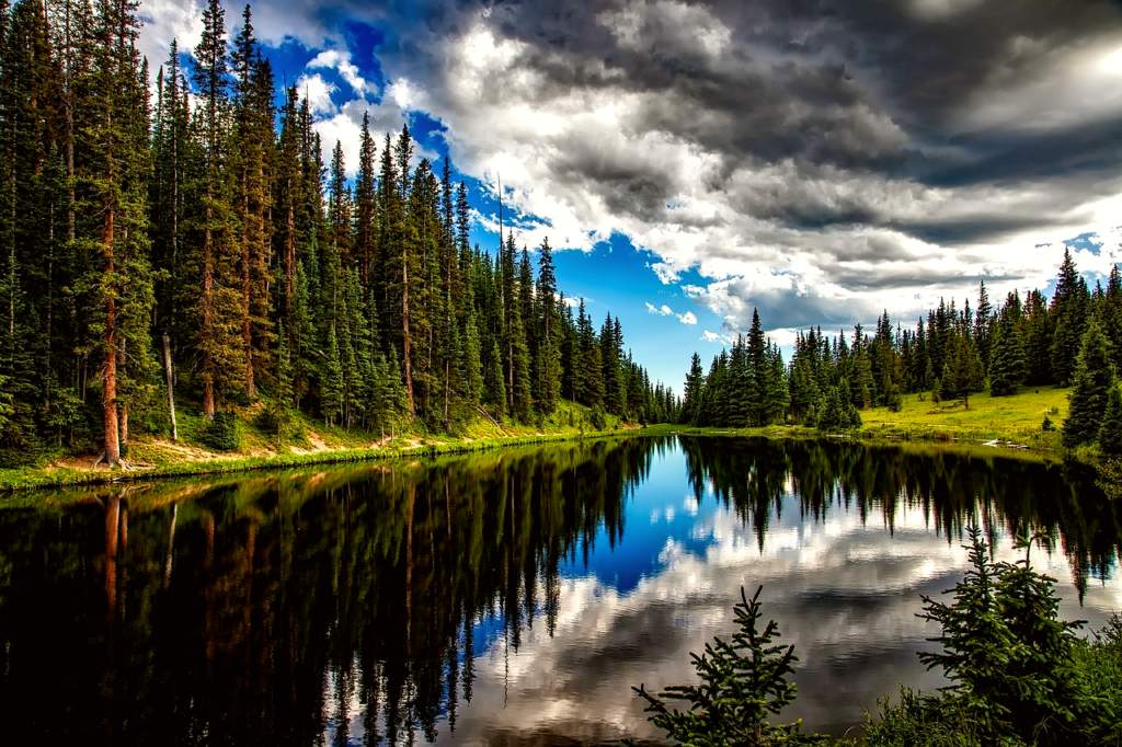 Colorado