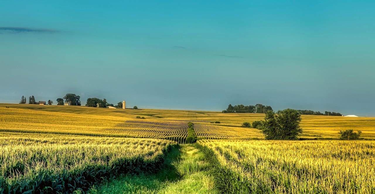Iowa