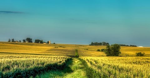 Iowa